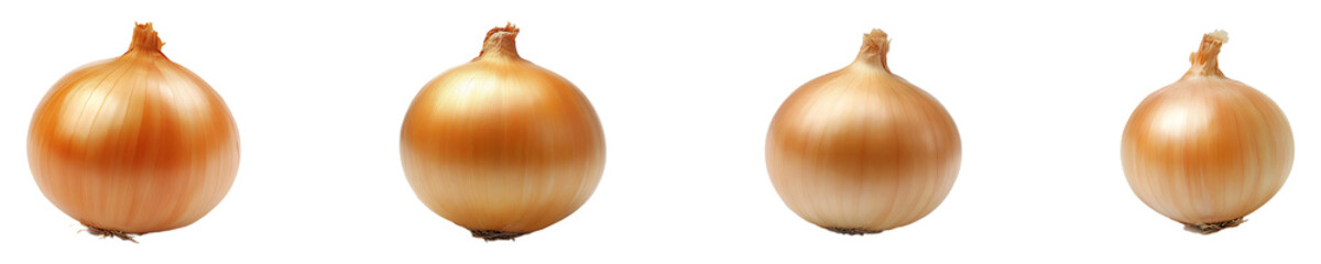 Set, collection of A yellow onion bulb isolated on transparent background.