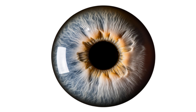 macro shot of human eye ball isolated on transparent background PNG.