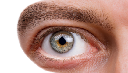 macro shot of human eye ball isolated on transparent background PNG.