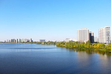 Fototapeta premium natural background of field grass