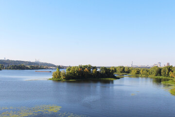 natural background of field grass