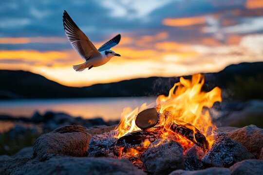 Bird circling above a campfire, attracted by the warmth and light as it hovers in the evening sky, curious and watchful