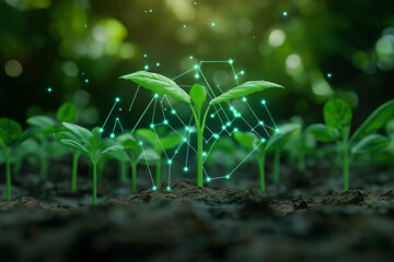 plants growing step in garden digital growth graph. Concept of business growth, profit, development and success.