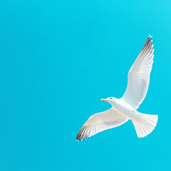 Obraz premium Seagull soaring gracefully against a clear blue sky
