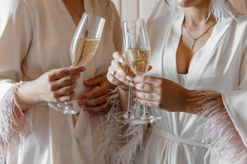Elegant Celebration Toast with Champagne in Feathered Robes