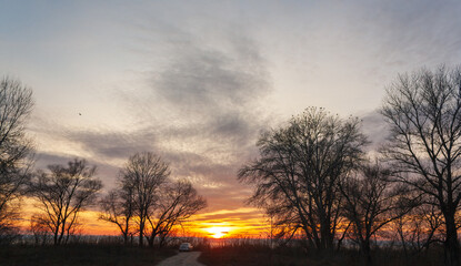 Fototapeta premium sunset in the forest
