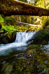 View of a mountain river in the forest. Autumn