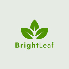 Brightleaf creative and modern logo design