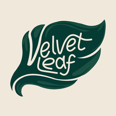 velvet leaf creative and modern logo design