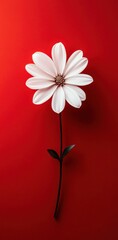 Naklejka premium White flower on vibrant red background showcasing minimalist beauty and bold contrast in photography art.