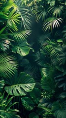 Background tropical green in the jungle