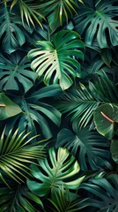 Obraz premium Lush tropical plants and graceful palm and monstera leaves background wallpaper colorful pattern