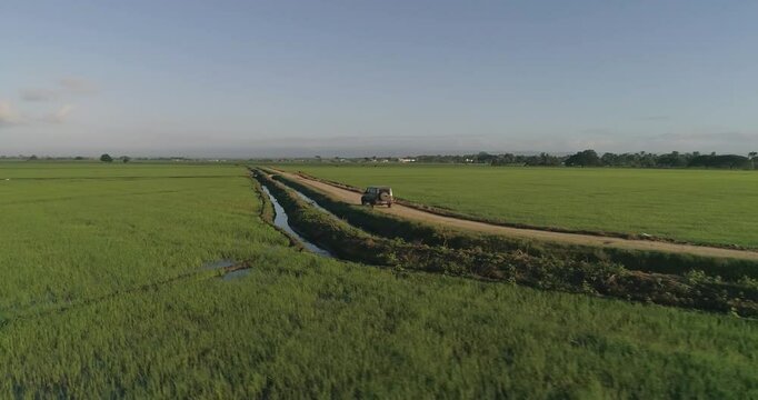 veiculo estacionado en medio de un paisaje, a sus costados fincas de arroz.