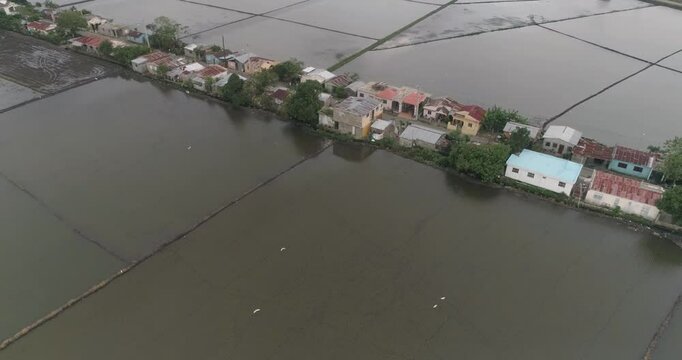 finca de arroz lista para sembrar, llena de agua.