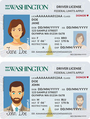 Vector template of sample driver license plastic card for USA Washington