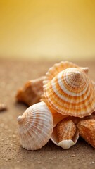 seashell on yellow background with copy space.