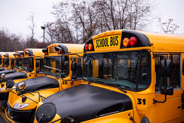Fleet of School Busses in a row