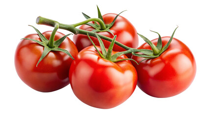tomatoes isolated on a white background