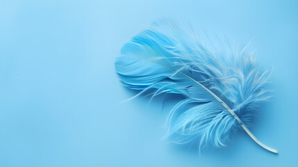 Vibrant blue feather contrasts beautifully against soft powder blue backdrop, creating a stunning visual contrast.