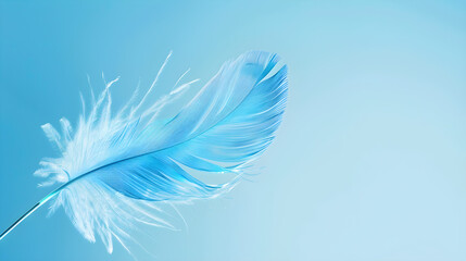 Vibrant blue feather on a soft sky blue background, elegant style, unique and eye-catching.