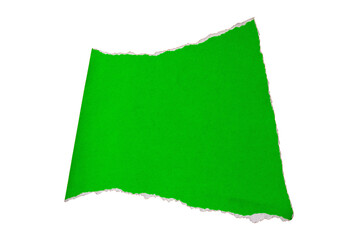 Ripped torn one green paper piece on transparent background, paper cut out design element