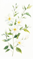 Watercolor floral background