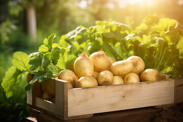saftgulasch juicy stew, top view