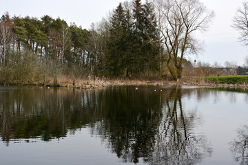 Various autumn trees of the park and the sky are reflected in the water of the lake. Natural seasonal landscape