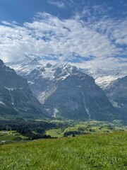 alpine meadow in the mountains