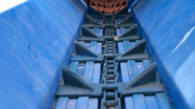 Blue industrial conveyor belt for moving logs to wood debarking machine. Modern equipment for timber production, tree trunk processing manufacturing at sawmill, lumber mill, wooden factory plant.