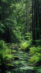 Fototapeta premium A tranquil forest stream meanders through a lush, verdant forest.