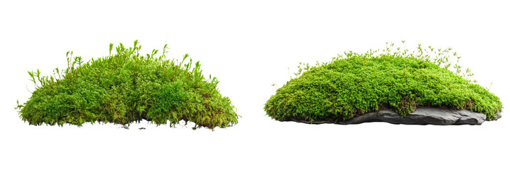 set of A Green moss, isolated, cut out, cutout, isolated. on a transparent background