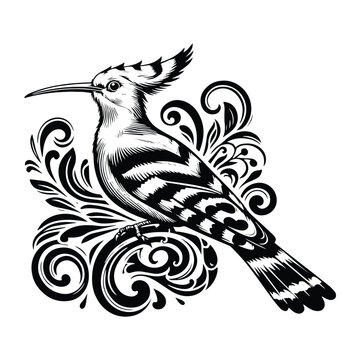 recommend clip art: Hoopoe bird with victorian flourish decoration, stencil logo, black and white animal illustration