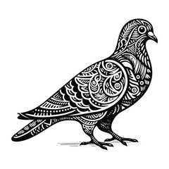 Obraz premium Pigeon bird in zentangle art, stencil logo, black and white animal illustration