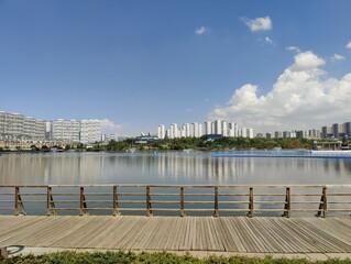 A Beacon of Hope Standing Tall Amidst Urban Expansion, Reflecting Serenity and the Calmness of Nature’s Presence