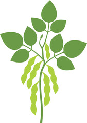 Obraz premium Soybean silhouette. Isolated soybean on white background