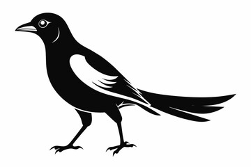 Walking magpie iconic logo silhouette black vector art illustration