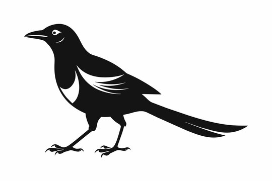 recommend clip art: Walking magpie iconic logo silhouette black vector art illustration