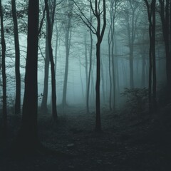 Fototapeta premium A misty forest characterized by tall, barren trees and a dense fog creating a mysterious, eerie atmosphere, Ideal for use in themes related to nature, mystery, suspense, and fantasy,