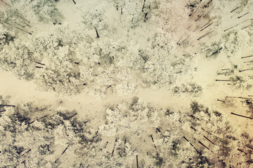 Winter road in snow covered forest, aerial view. Estonia.