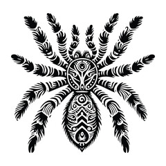 Fototapeta premium tarantula insect in zentangle art, stencil logo, black and white animal illustration