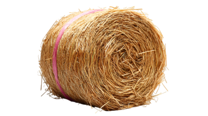 a roll of hay with a pink band. 