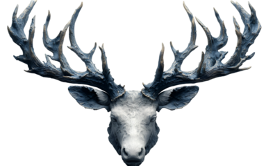 a deer head with antlers. 