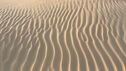 Sand patterns form gracefully in desert, with wind-swept ridges and smooth valleys. In evening light, patterns and textures come alive, creating mesmerizing display of natures artistry. 