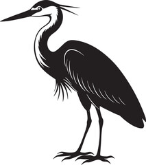 heron illustration