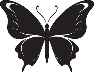 butterfly illustration