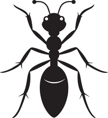 illustration of a black beetle 