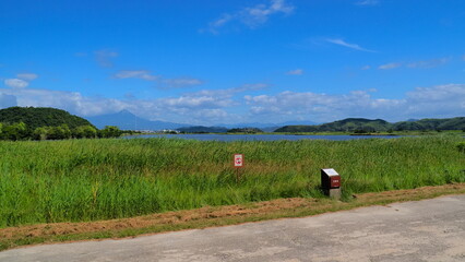Fototapeta premium 米子水鳥公園7（8月）