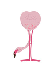 Fototapeta premium tropical flemish bird