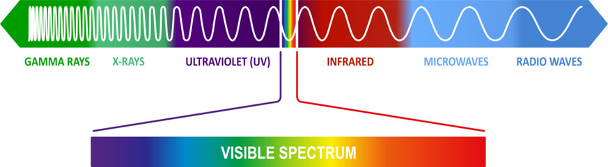The electromagnetic spectrum diagram. Vector color illustration.